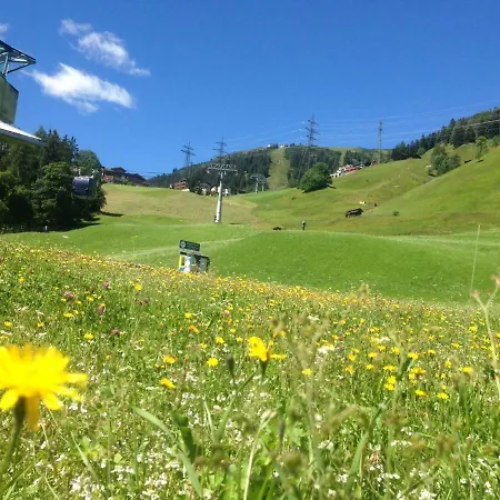 Апартаменты St Anton Санкт-Антон-ам-Арльберг